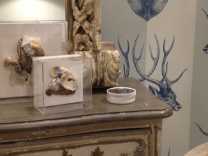 hot trends antlers shells